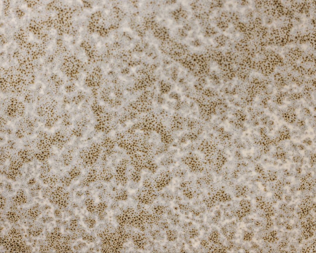 Gedetailleerde textuur van Mimo Homeware Broken Shells borden en servies in bruin, beige, wit en crème.