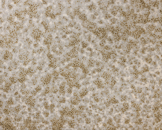Gedetailleerde textuur van Mimo Homeware Broken Shells borden en servies in bruin, beige, wit en crème.